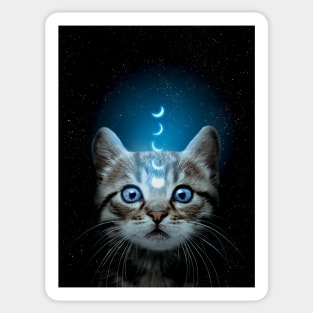 Celestial Cat Sticker